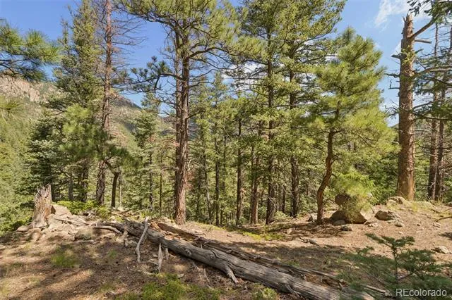 5110 Little Turkey Creek Road Colorado Springs, CO 80926