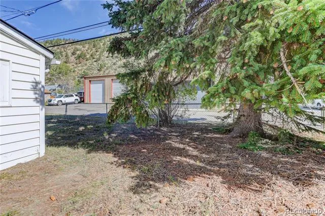 223 3rd Avenue Idaho Springs, CO 80452