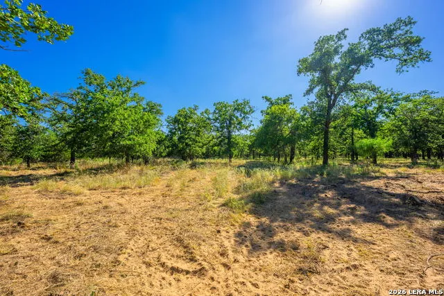 560 Mystic Oaks Trail Fredericksburg, TX 78624