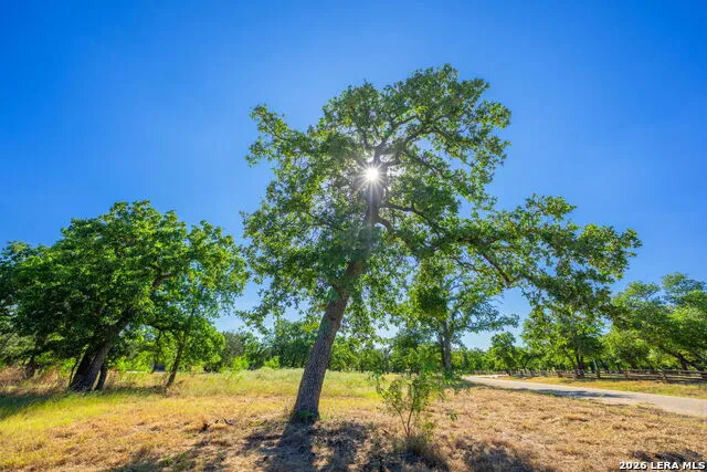 560 Mystic Oaks Trail Fredericksburg, TX 78624