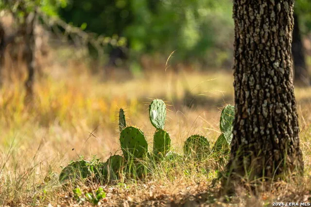 560 Mystic Oaks Trail Fredericksburg, TX 78624