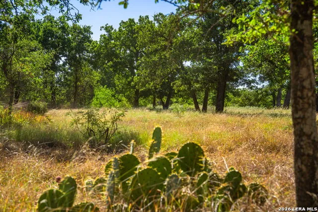 560 Mystic Oaks Trail Fredericksburg, TX 78624