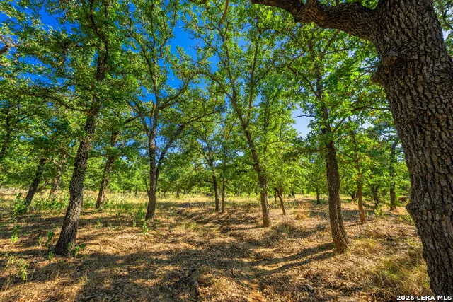 560 Mystic Oaks Trail Fredericksburg, TX 78624