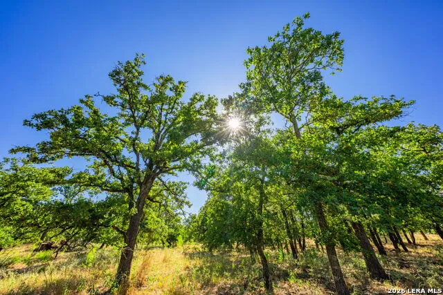 560 Mystic Oaks Trail Fredericksburg, TX 78624