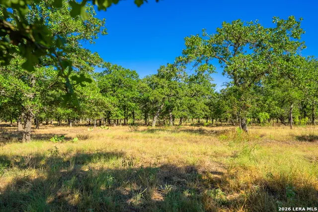 560 Mystic Oaks Trail Fredericksburg, TX 78624