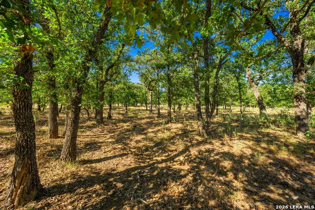 560 Mystic Oaks Trail Fredericksburg, TX 78624