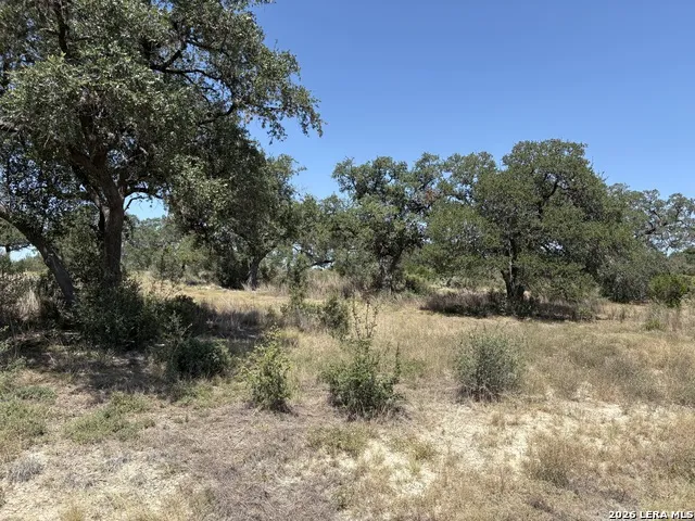 531 (LOT 1737) Arthur Ct Spring Branch, TX 78070
