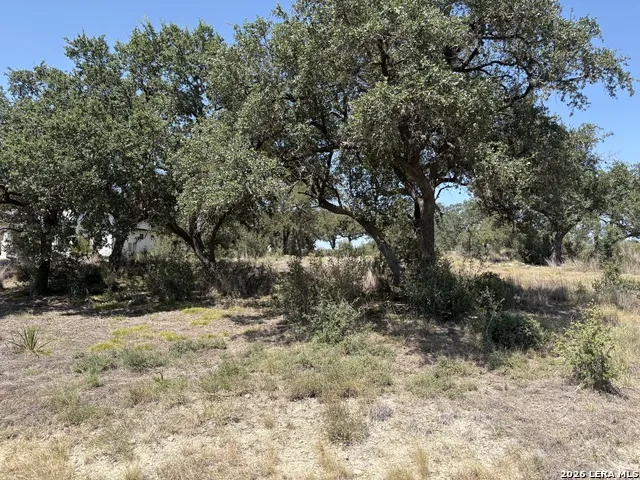 531 (LOT 1737) Arthur Ct Spring Branch, TX 78070