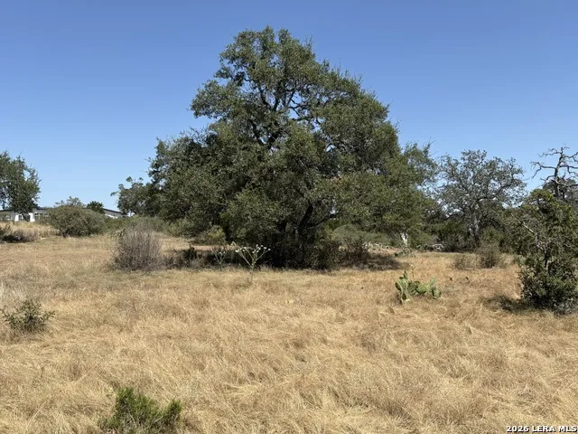 531 (LOT 1737) Arthur Ct Spring Branch, TX 78070