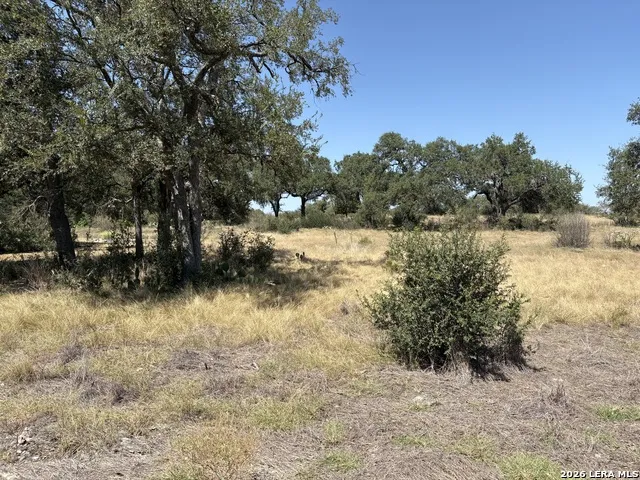 531 (LOT 1737) Arthur Ct Spring Branch, TX 78070
