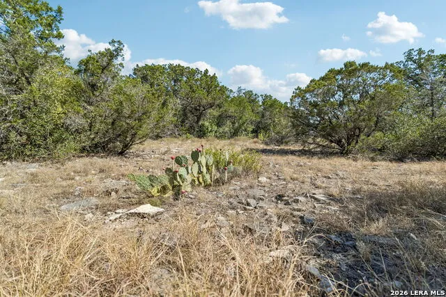 LOT 126 High Valley Rd Hondo, TX 78861