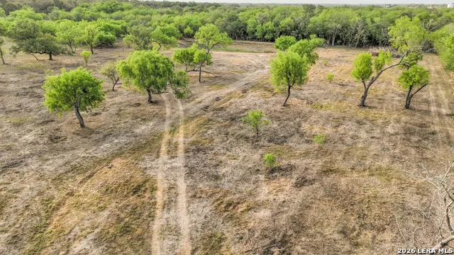 413 W Malone Devine, TX 78016