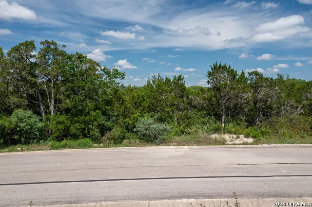 LOT 311,312,387 PR 1745 PR 1742 Mico, TX 78056