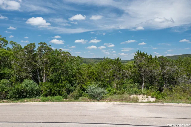 LOT 311,312,387 PR 1745 PR 1742 Mico, TX 78056