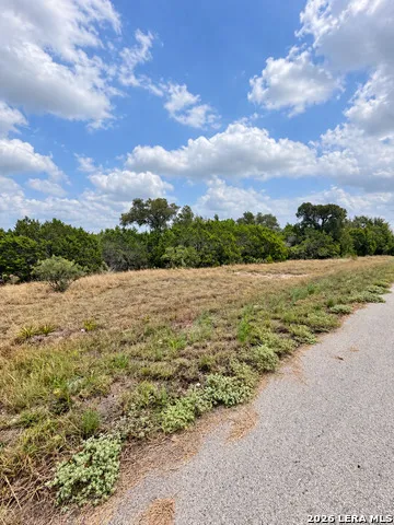 217 BINDWEED LN Spring Branch, TX 78070