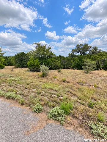 217 BINDWEED LN Spring Branch, TX 78070