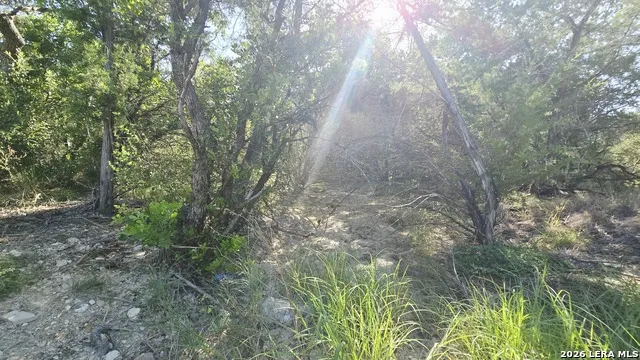 LOT 104 Grand Oaks Hondo, TX 78861