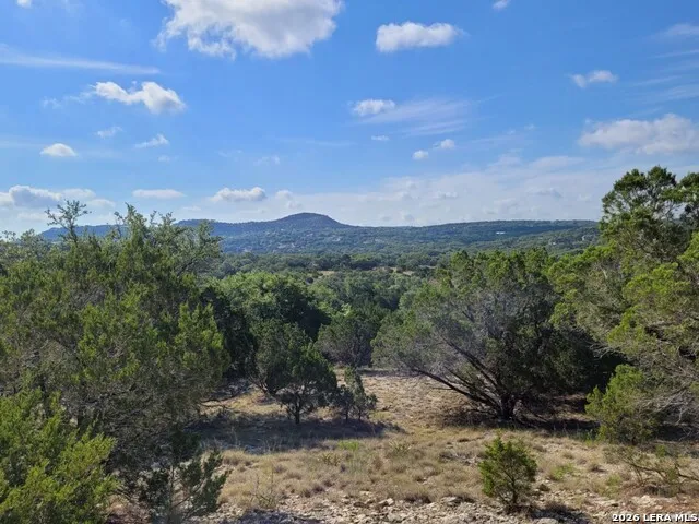 118 BOBBY CLARK DR Canyon Lake, TX 78133