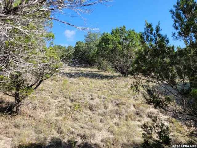 118 BOBBY CLARK DR Canyon Lake, TX 78133