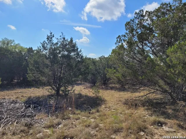 118 BOBBY CLARK DR Canyon Lake, TX 78133