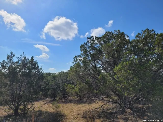 118 BOBBY CLARK DR Canyon Lake, TX 78133