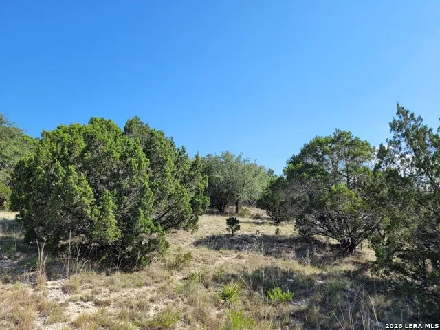 118 BOBBY CLARK DR Canyon Lake, TX 78133
