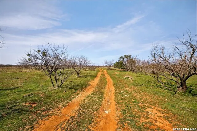 4140 State Highway 16 Graford, TX 76449