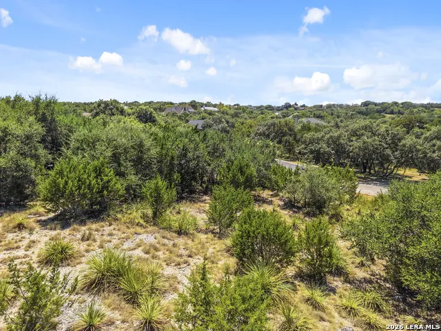 29114 Ledge Dr Boerne, TX 78015