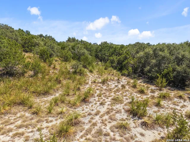 29114 Ledge Dr Boerne, TX 78015