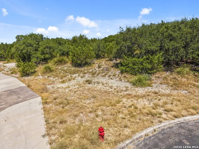 29114 Ledge Dr Boerne, TX 78015
