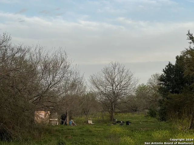 15750 SHEPHERD RD Atascosa, TX 78002