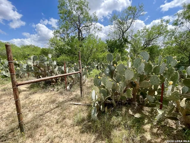 2566 FM 539 La Vernia, TX 78121