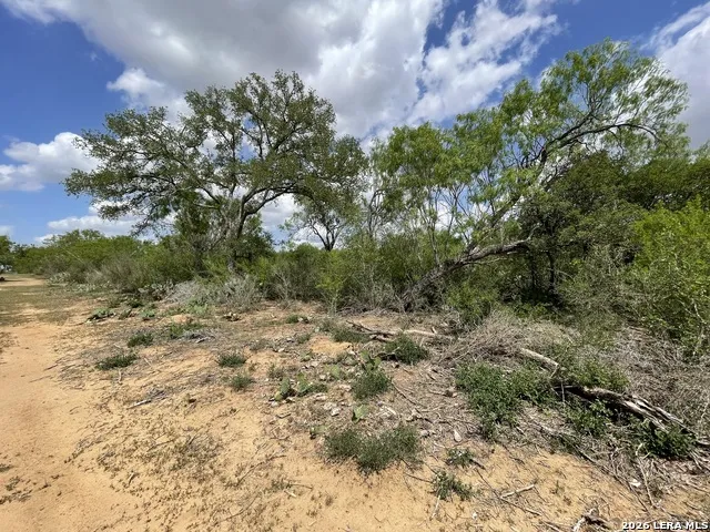 2566 FM 539 La Vernia, TX 78121