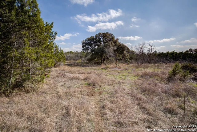 1463 Whispering Woods Trail New Braunfels, TX 78132