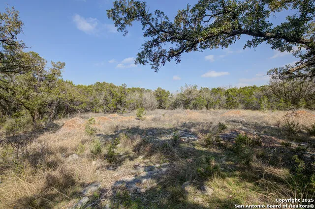 1463 Whispering Woods Trail New Braunfels, TX 78132