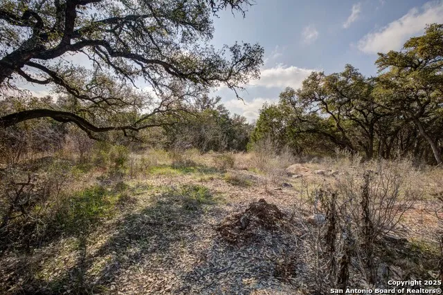 1463 Whispering Woods Trail New Braunfels, TX 78132