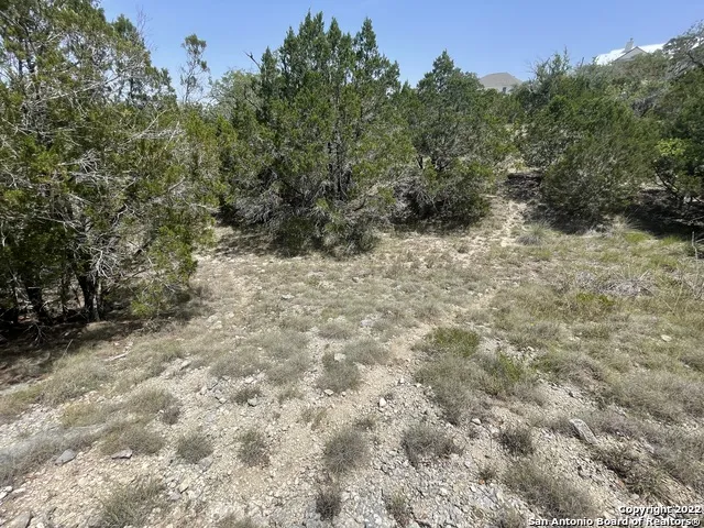 421 BLUEBONNET BREEZE Canyon Lake, TX 78133