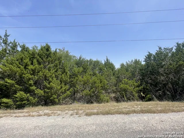 421 BLUEBONNET BREEZE Canyon Lake, TX 78133