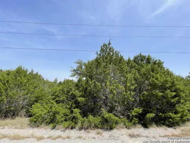 421 BLUEBONNET BREEZE Canyon Lake, TX 78133