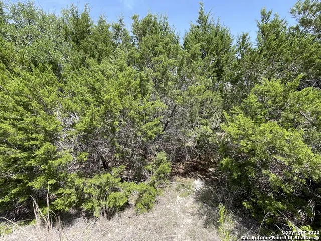 421 BLUEBONNET BREEZE Canyon Lake, TX 78133