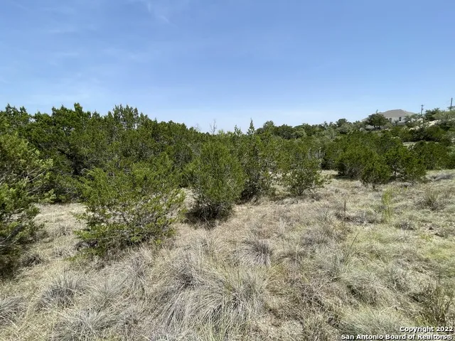 421 BLUEBONNET BREEZE Canyon Lake, TX 78133