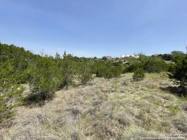 421 BLUEBONNET BREEZE Canyon Lake, TX 78133