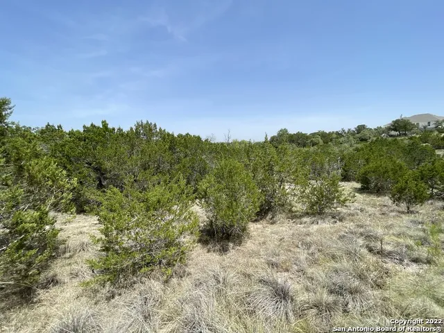 421 BLUEBONNET BREEZE Canyon Lake, TX 78133