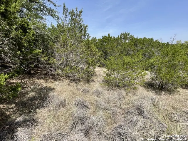421 BLUEBONNET BREEZE Canyon Lake, TX 78133