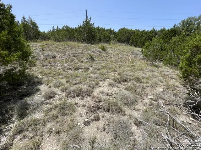 421 BLUEBONNET BREEZE Canyon Lake, TX 78133