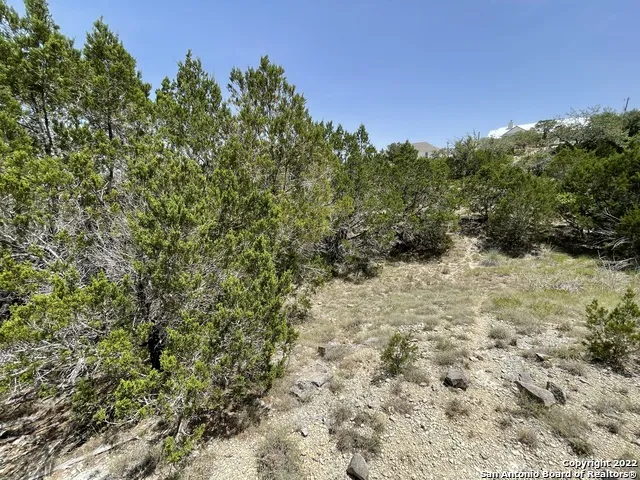 421 BLUEBONNET BREEZE Canyon Lake, TX 78133