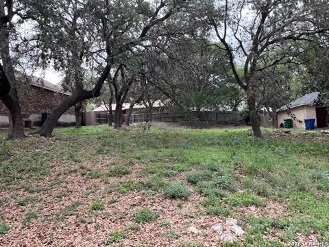 8466 Timber Belt