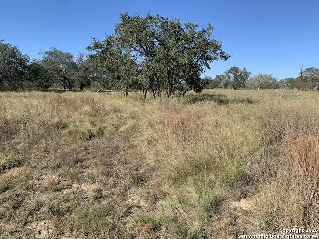 203 CR 789 Natalia, TX 78059