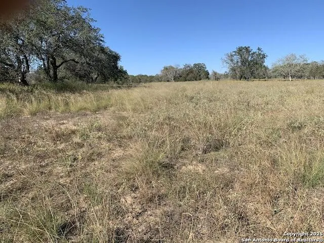 203 CR 789 Natalia, TX 78059