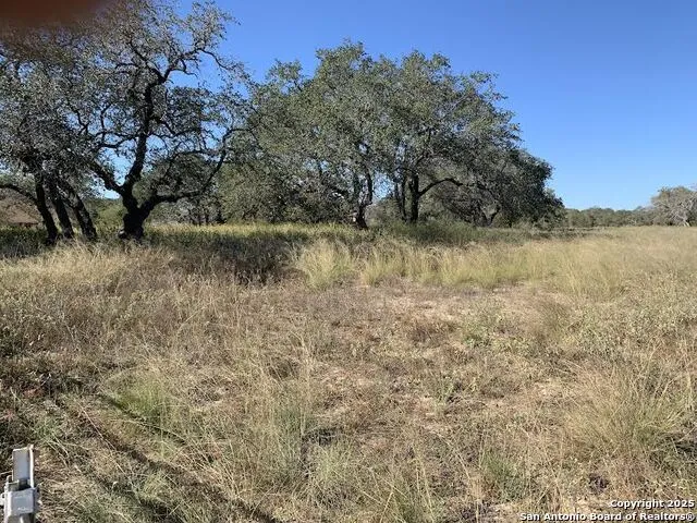 203 CR 789 Natalia, TX 78059